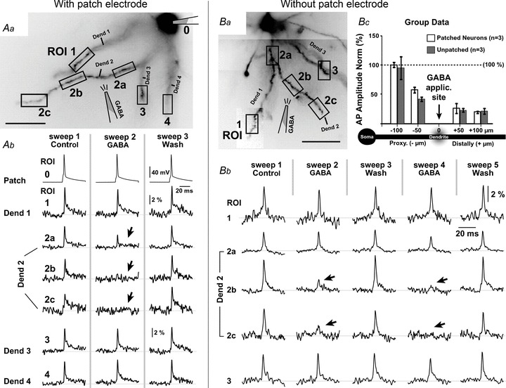 Figure 10