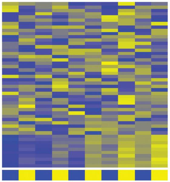 Fig.1