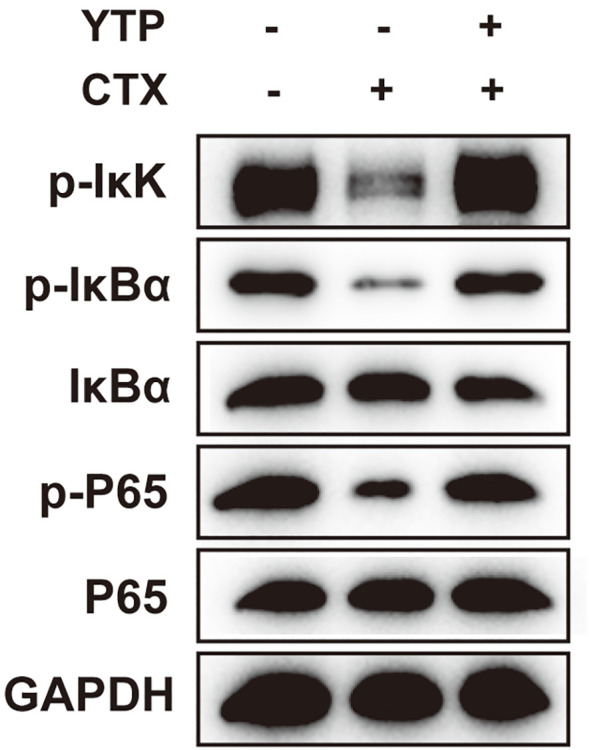 Figure 9