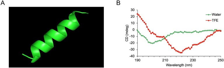 Figure 1