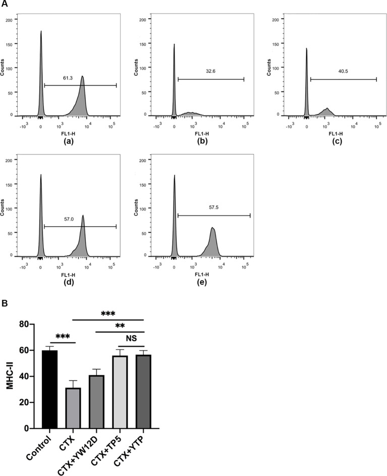 Figure 5