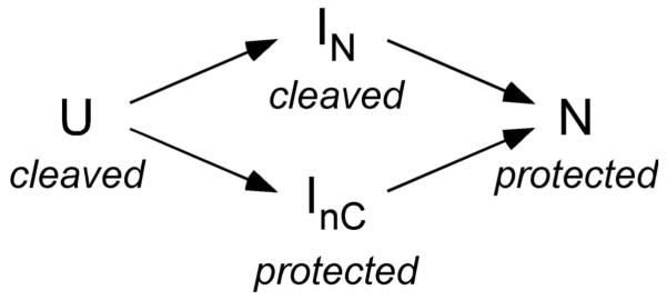 Scheme II