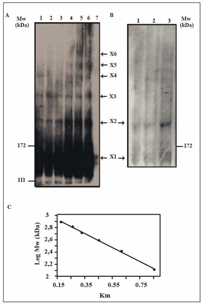 Fig 5