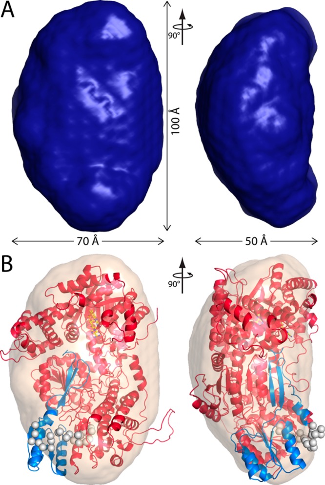 Figure 6