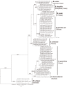 Fig. 1 -