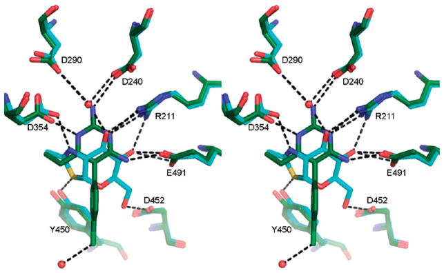 Figure 6