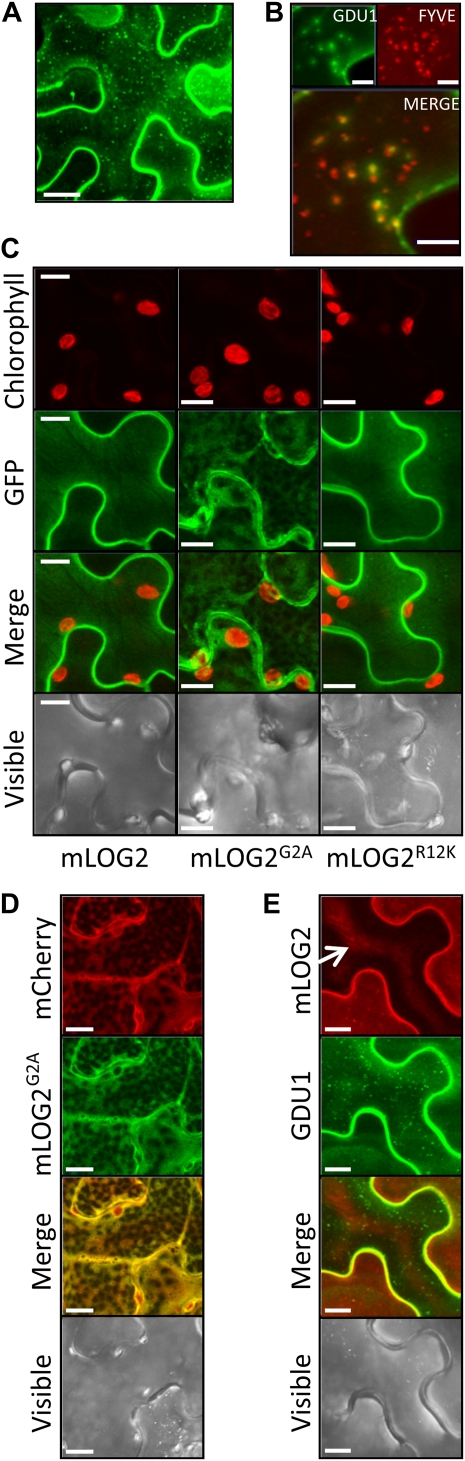 Figure 5.