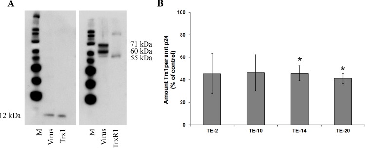 Fig 9