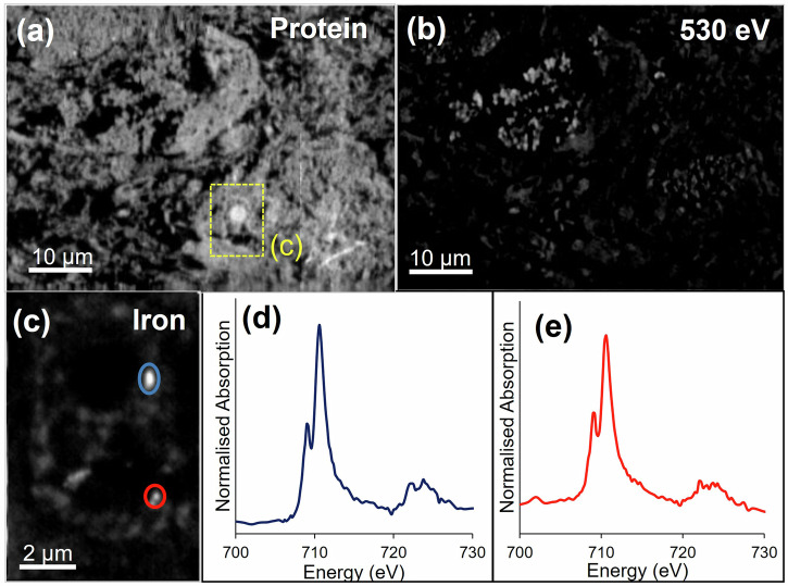 Fig. 4