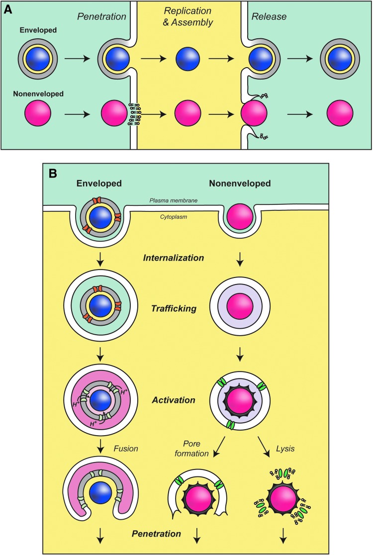 FIG. 1.