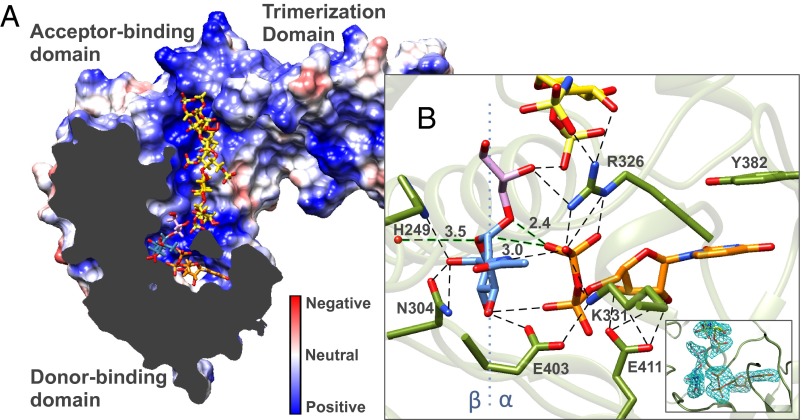 Fig. 2.