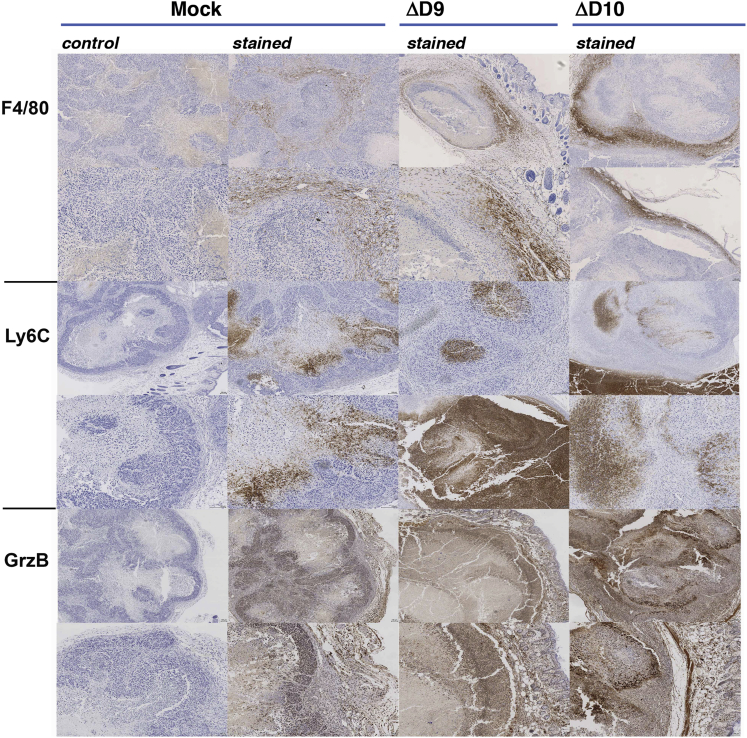 Figure 6