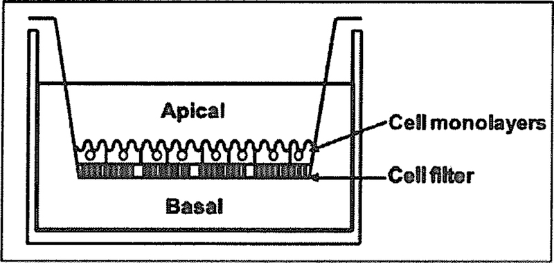 Fig. (2).