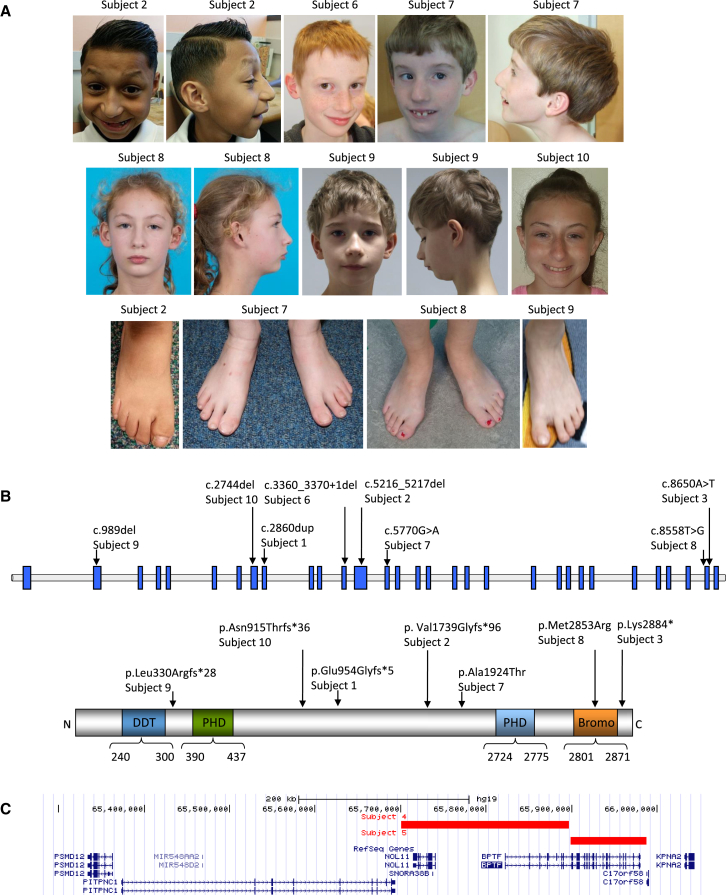 Figure 1