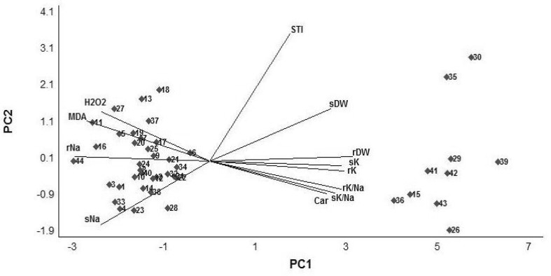 Fig. 1