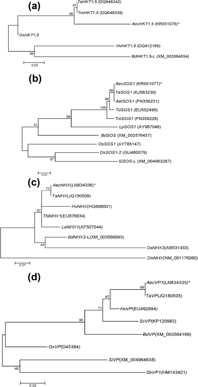 Fig. 2