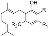 graphic file with name pharmaceutics-13-01823-i004.jpg