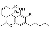 graphic file with name pharmaceutics-13-01823-i002.jpg