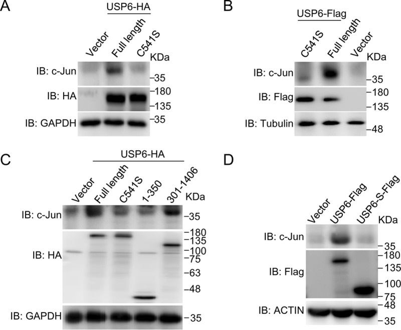 FIG 2