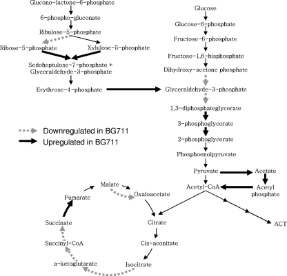 FIG. 8.