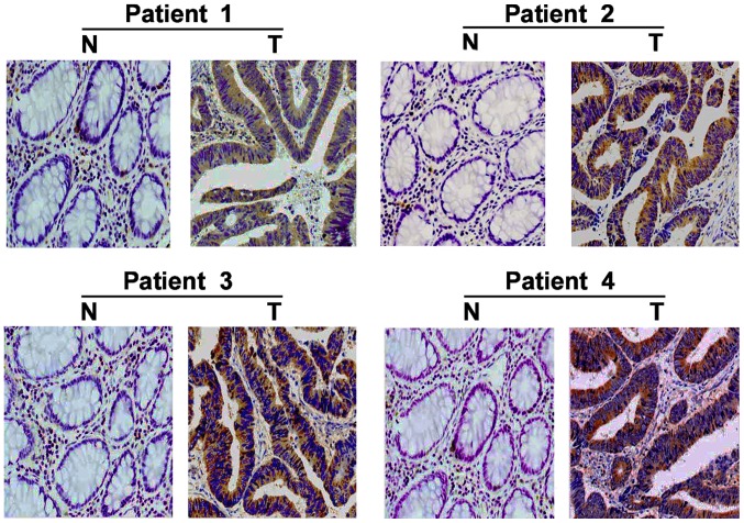 Figure 3.