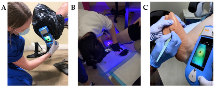 Figure 1