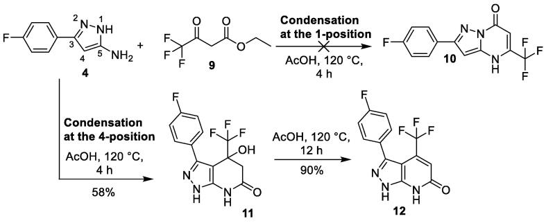 Scheme 2