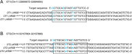 Supplementary Fig. 5