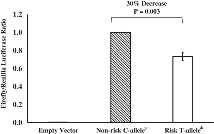 FIGURE 1