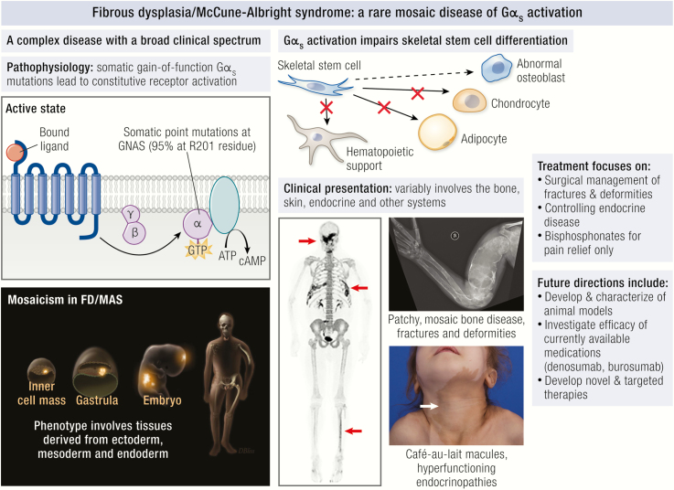 Graphical Abstract