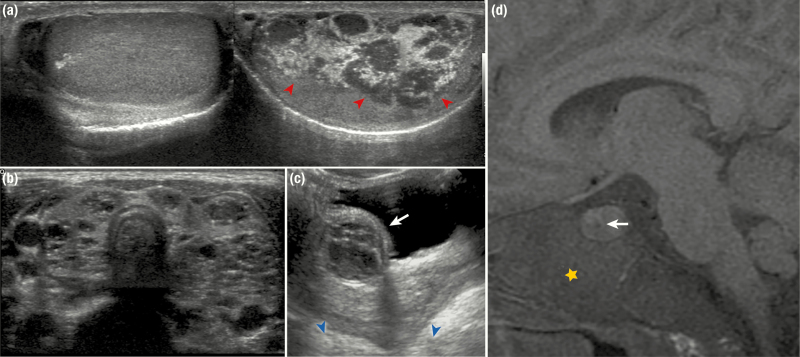 Figure 5.