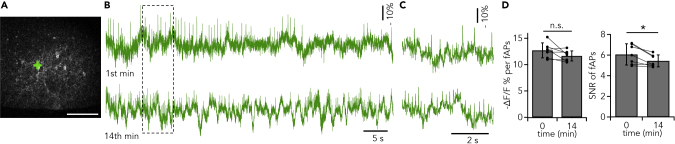 Figure 5