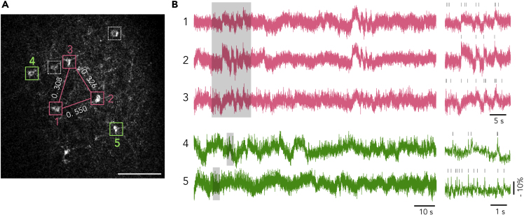 Figure 6