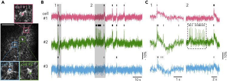 Figure 4