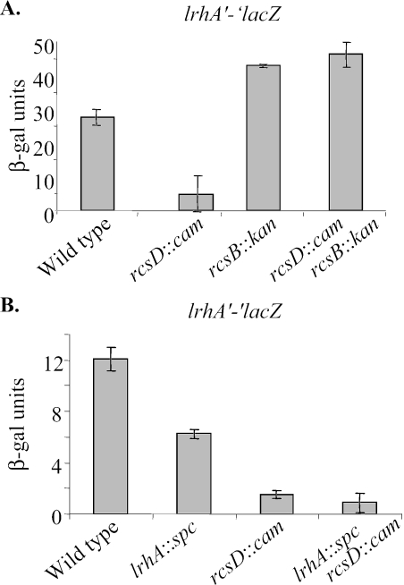 FIG. 5.