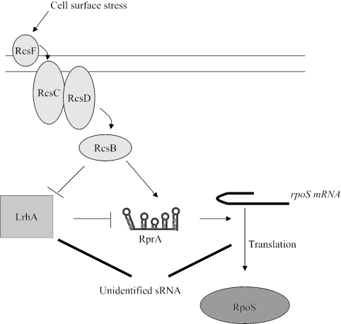 FIG. 7.