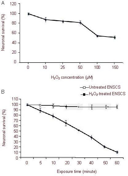 Effects Of Resveratrol On Hydrogen Peroxide Induced Oxidative Stress In