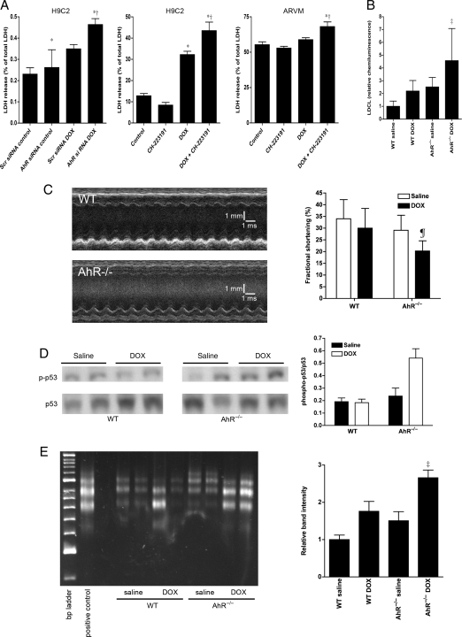 Figure 6