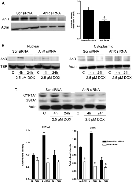 Figure 4