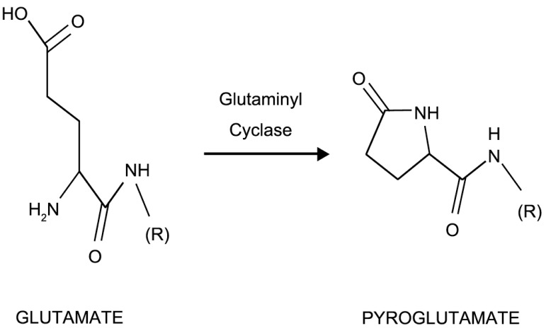 Fig. (1)