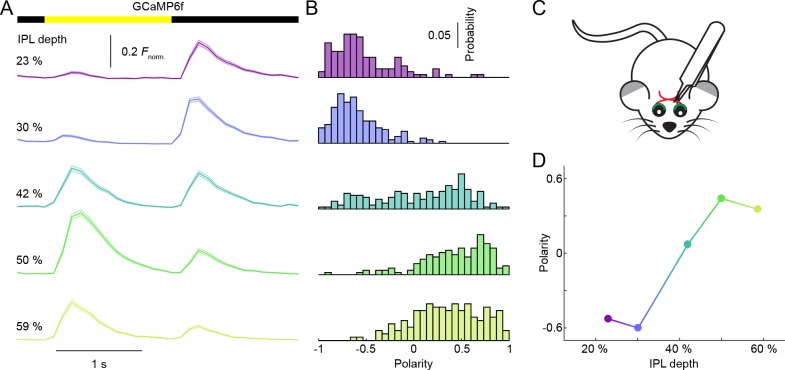 Figure 1—figure supplement 3.