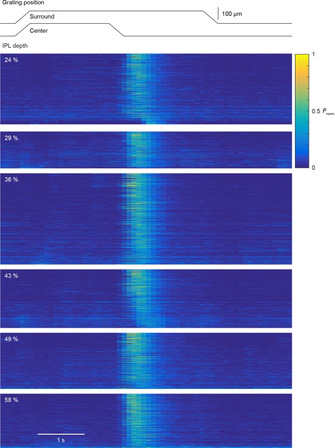 Figure 4—figure supplement 1.