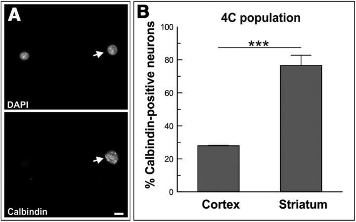 Figure 10.