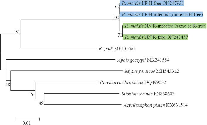 Figure 1