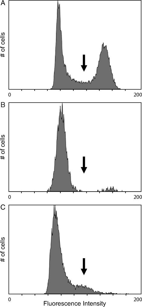 Figure 2.—