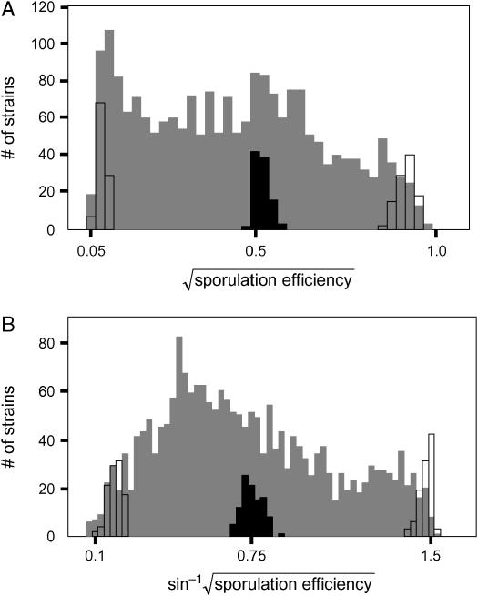 Figure 5.—