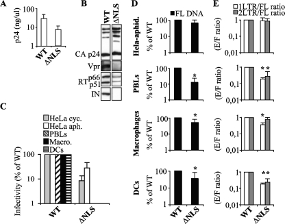 FIG. 4.