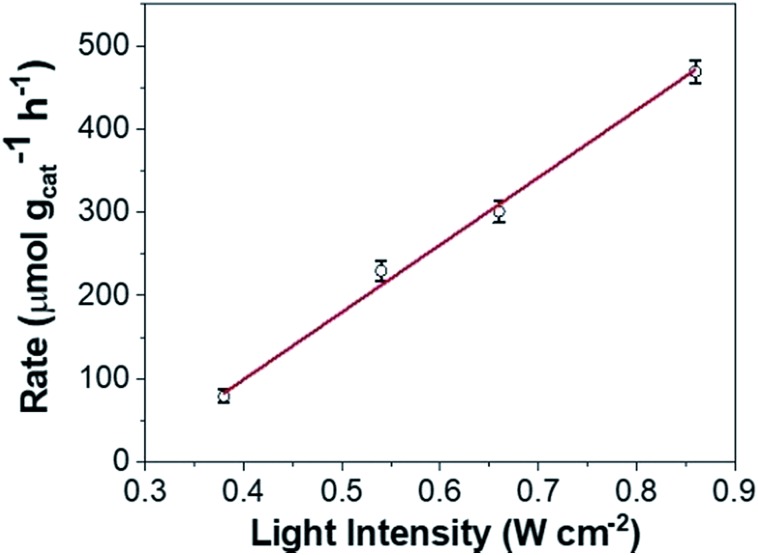 Fig. 10