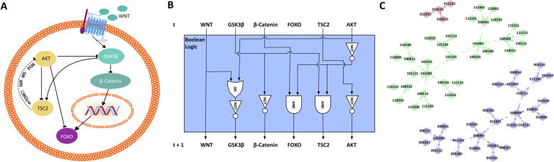 Fig. 1