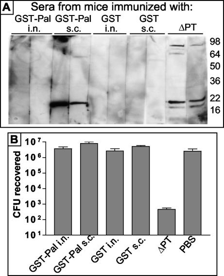 FIG. 6.